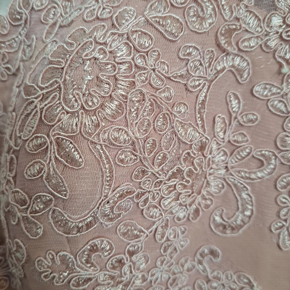 Pink Mesh Embroidered Ruffle Layered Chiffon Short Sleeve Prom Formal Dress Sz 6 - Picture 3 of 7